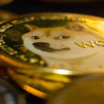 DrDoge