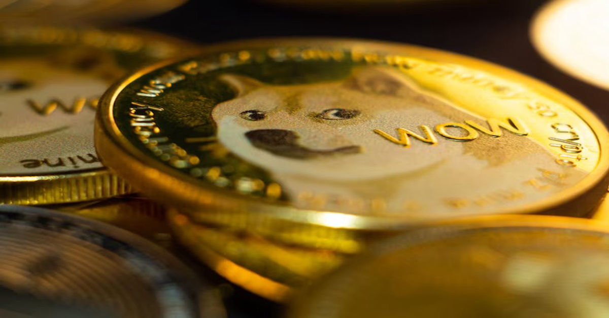 DrDoge