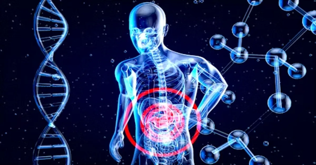 Benefits of Germkezmis1212