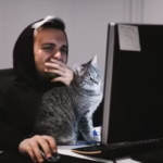 Cursed-Memes.com Business